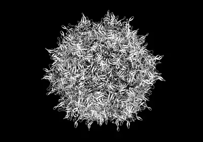 aav adeno-associated virus vector gene therapy antibody hemophilia